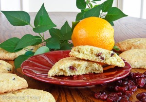 Orange Cranberry Scones -- Don't forget the cream and jam!