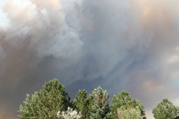 Waldo Canyon Fire 3