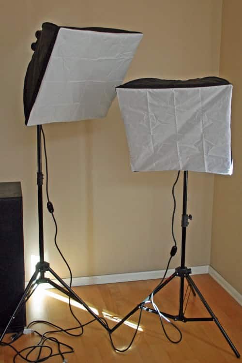 My lighting helpers I affectionately refer to as "The Twins"