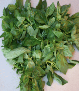 Basil from the Farmers Market