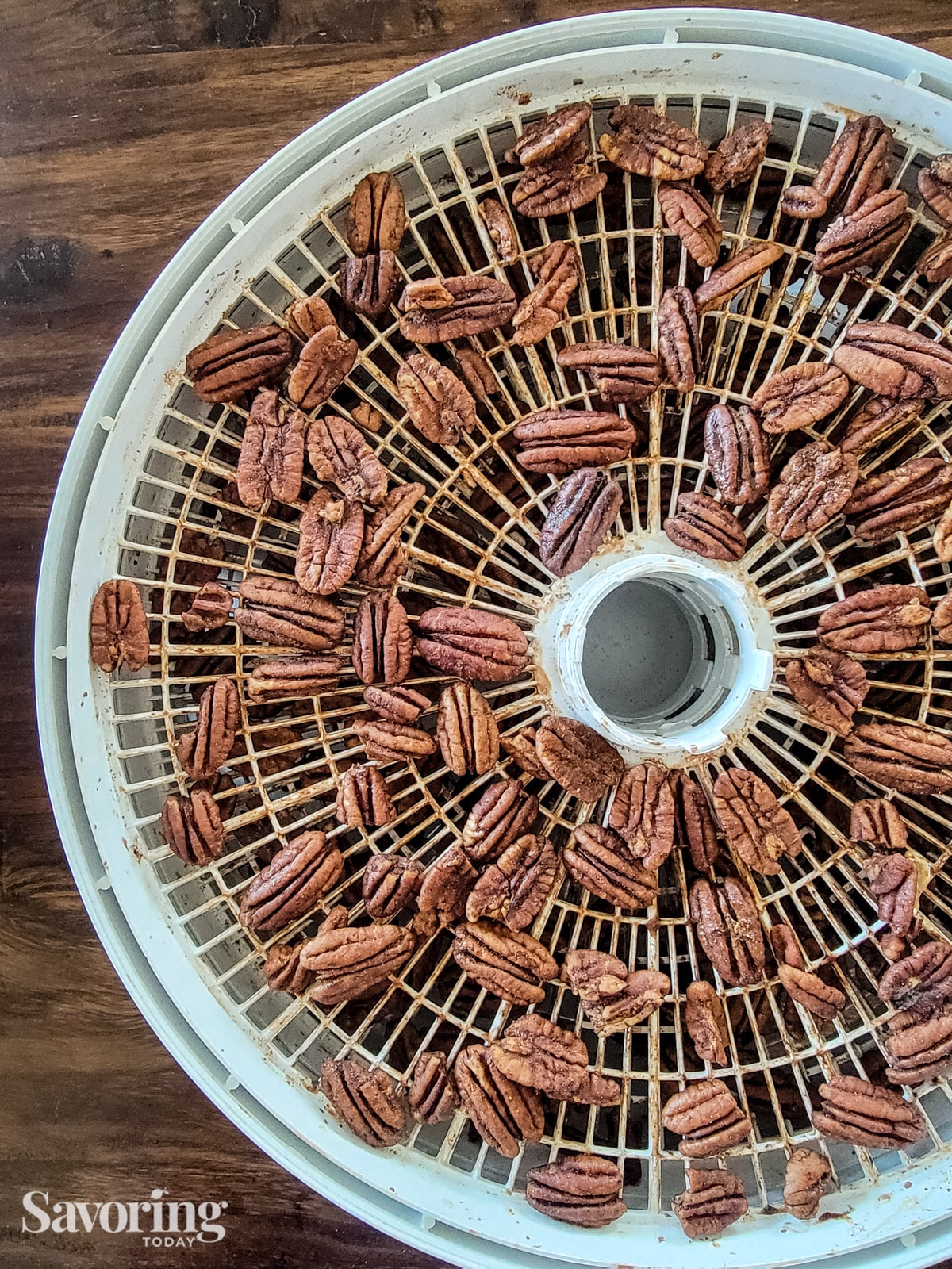 dehydrated pecans spread out over a tray