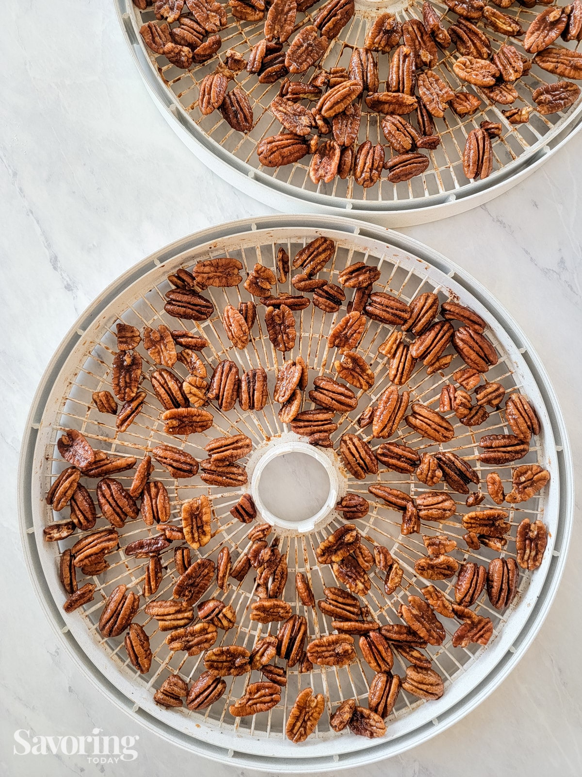 pecans spread out on dehydrator trays