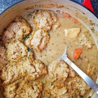 A stew pot with chicken and dumplings.