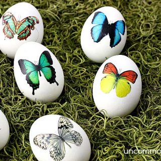 White eggs colored with butterfly tattoos on green grass.