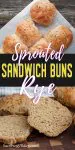 Sprouted Rye Buns sliced