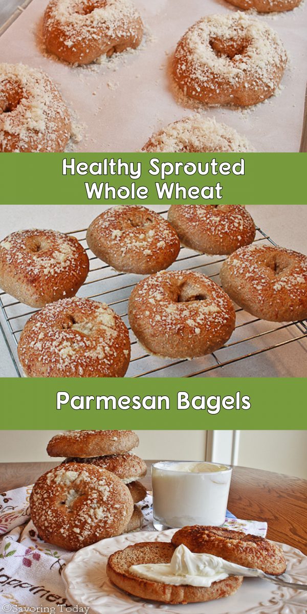 Healthy sprouted whole wheat breakfast bagels with savory Parmesan you can make at home.