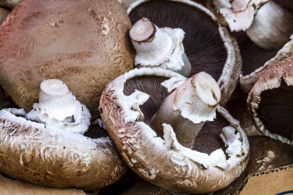 A pile of portabella mushrooms on a cutting board