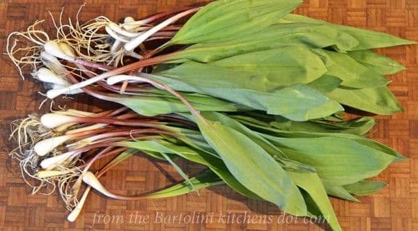 Guest Post -- John whole ramps-pesto-1