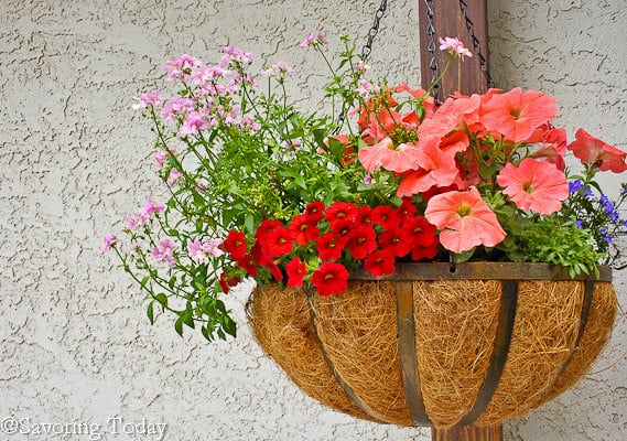 Flower Garden -- Deck Baskets (1 of 1)