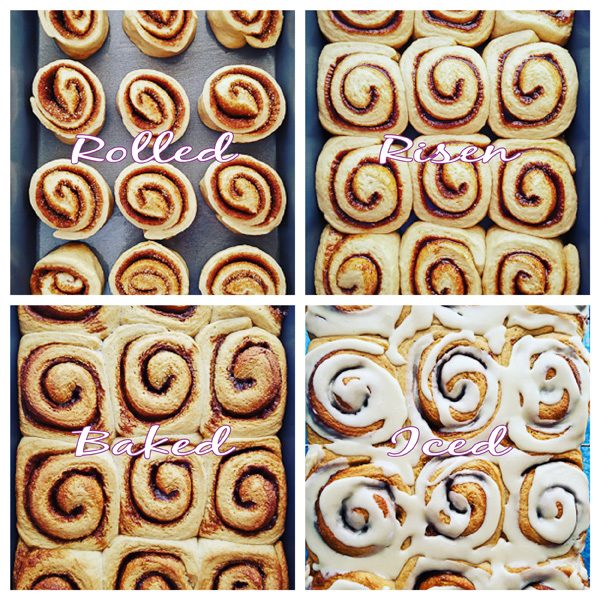 Cut and in the pan, risen and ready to bake, fresh from the oven, and iced for serving. From prep to icing, this is what your cinnamon rolls should look like.