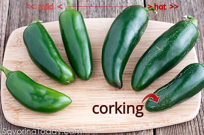 How to know if a jalapeno is hot. Choosing the best chiles for recipes.