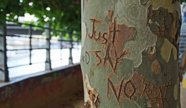 Just Say No carved into the bark on a tree.