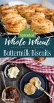 sprouted wheat biscuit collage for pinterest