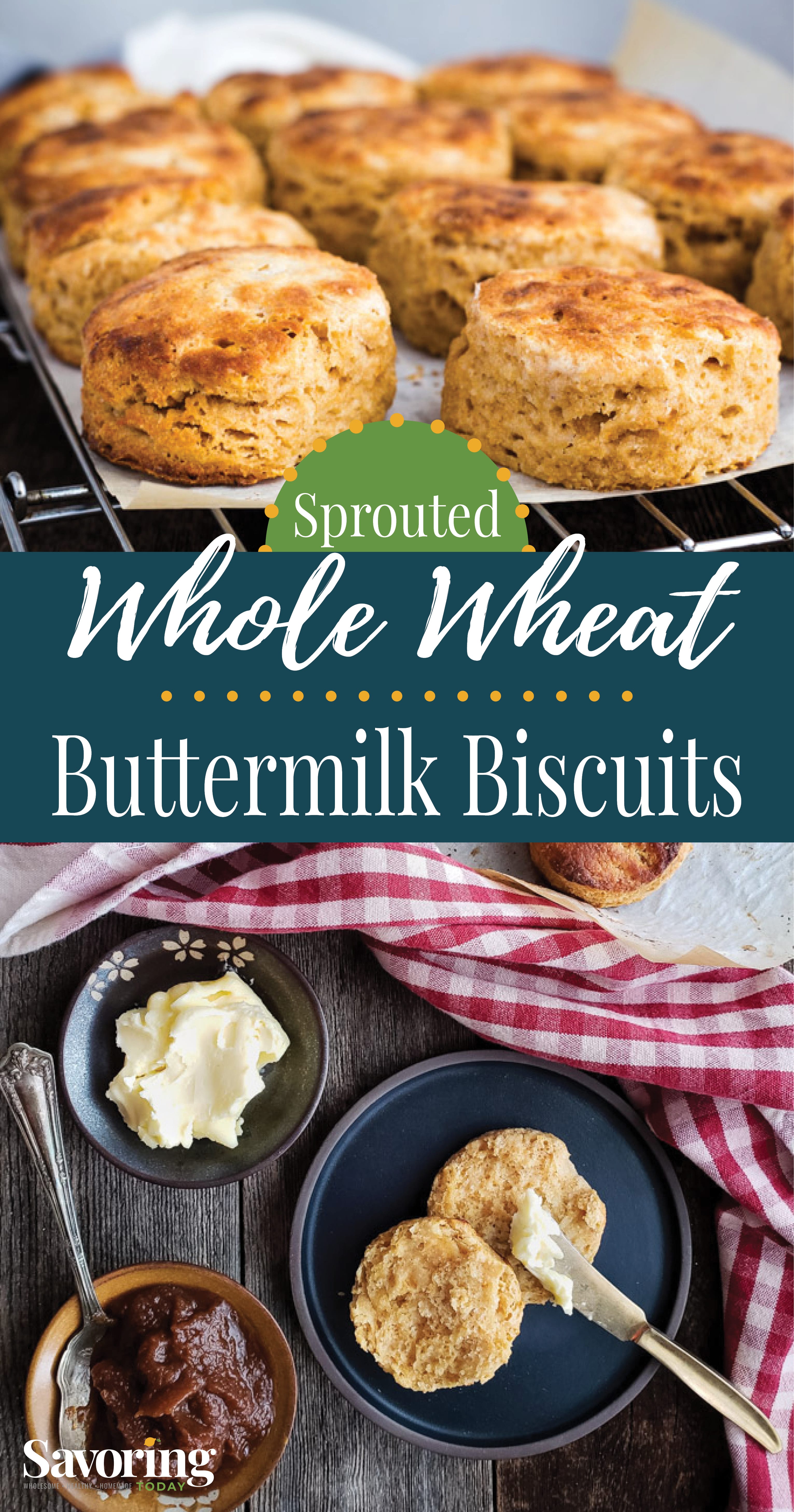 Light & Buttery Sprouted Whole Wheat Buttermilk Biscuits Savoring Today