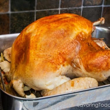 Roasted turkey in a roasting pan on the stove.