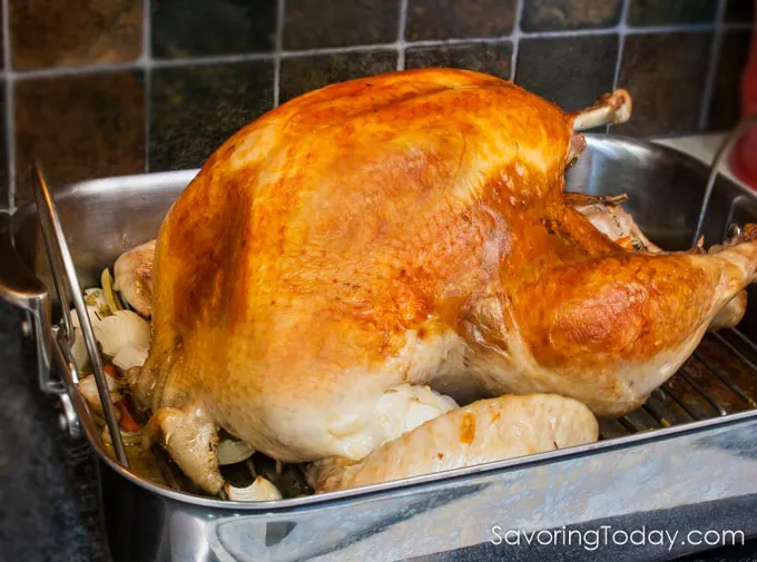 Roasted turkey in a roasting pan on the stove.