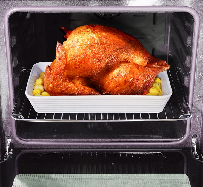 Roasted turkey in pan inside oven.