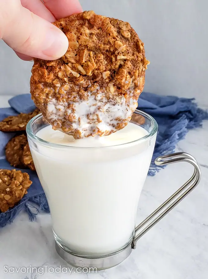 Fresh Ginger Oatmeal Cookie being dunked into a glass of milk.