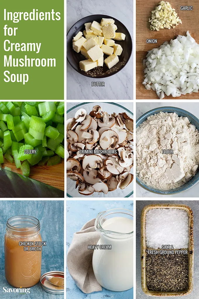 Group of individually photographed ingredients for mushroom soup recipe