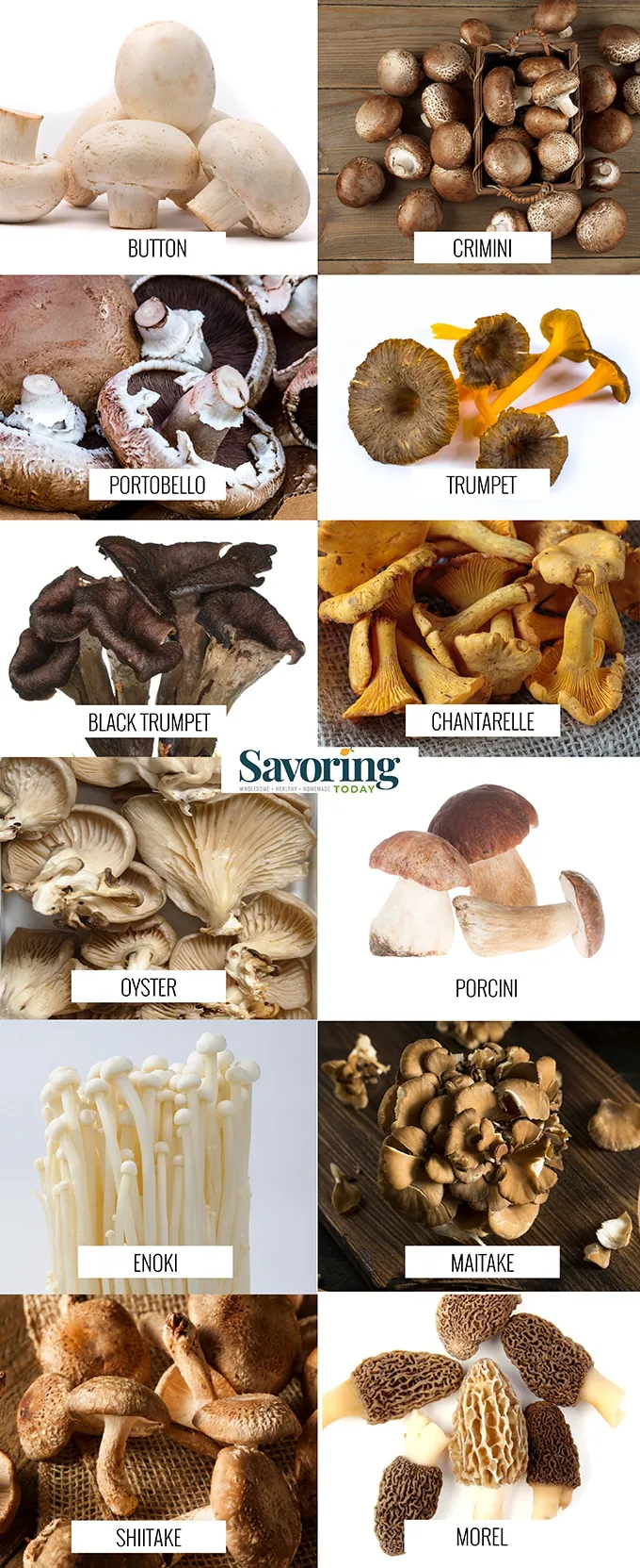 Images and labels of 12 different types of mushrooms