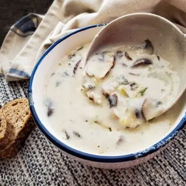 Small bowl of creamy mushroom soup with a ladle in it