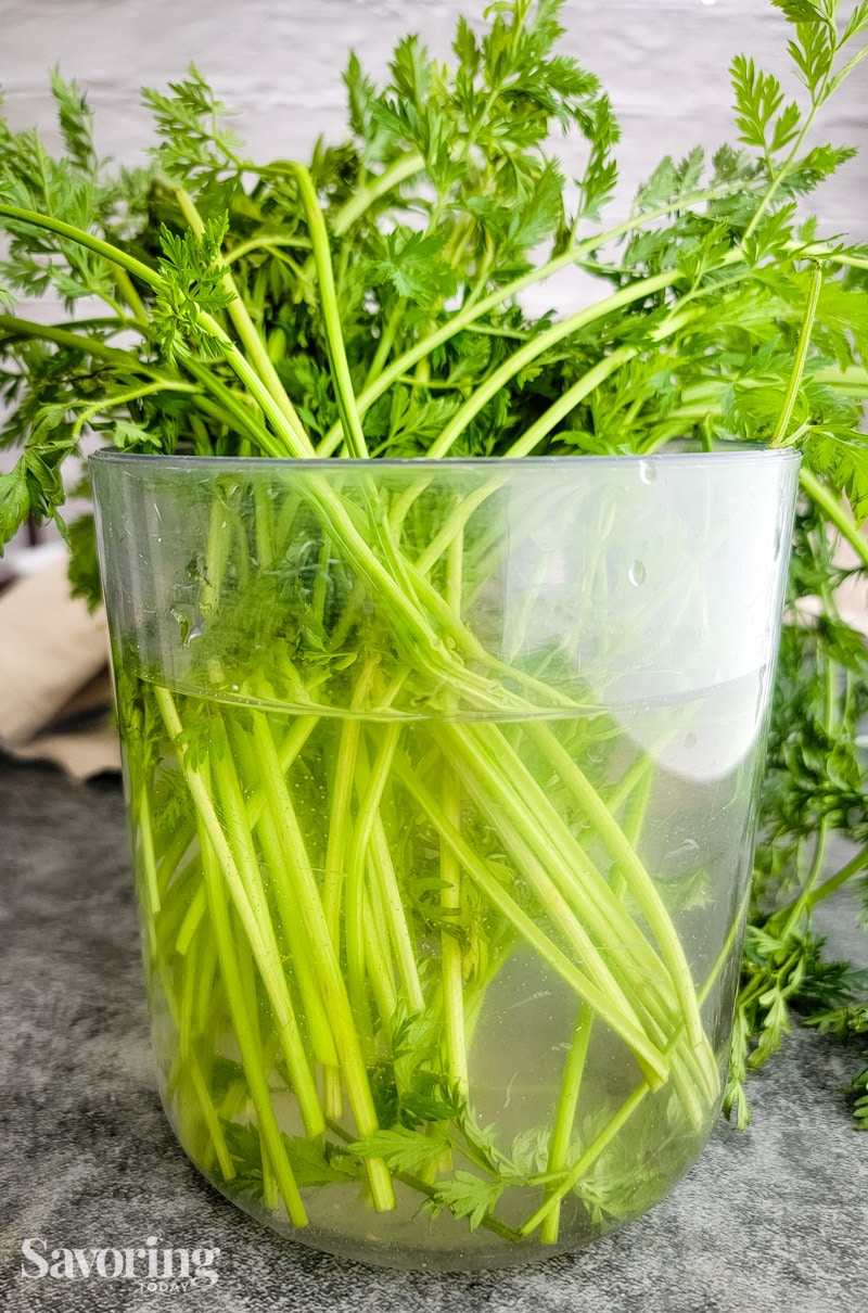 carrot greens in a container of water