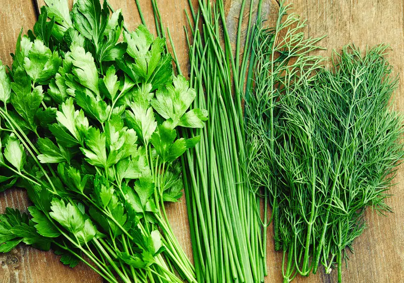 parsley, chives and dill herbs on a cutting board
