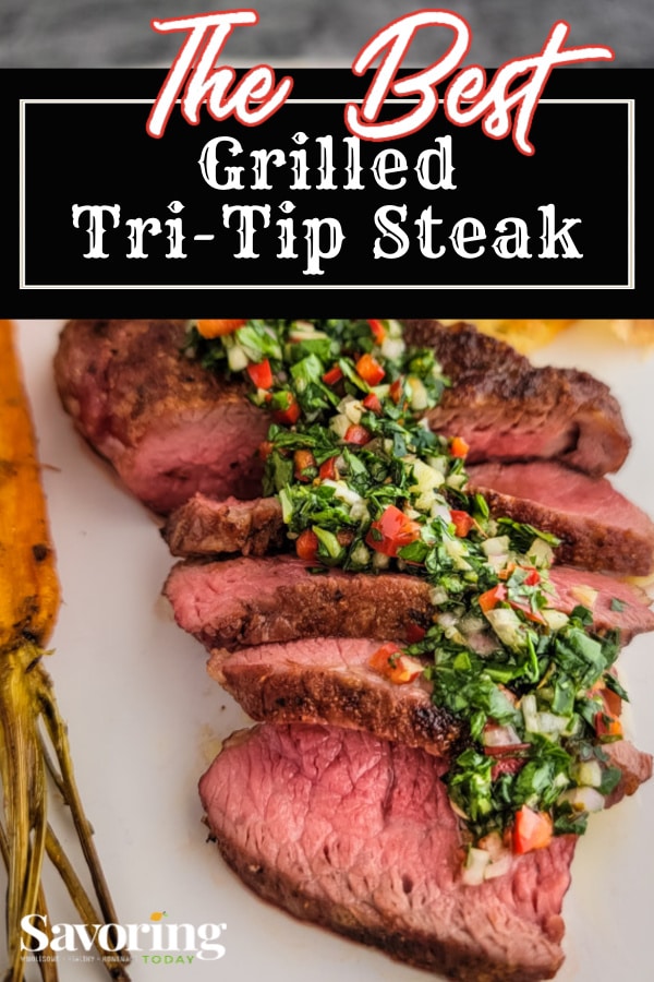 Grilled TriTip Steak with Smoked Chile Steak Rub Savoring Today