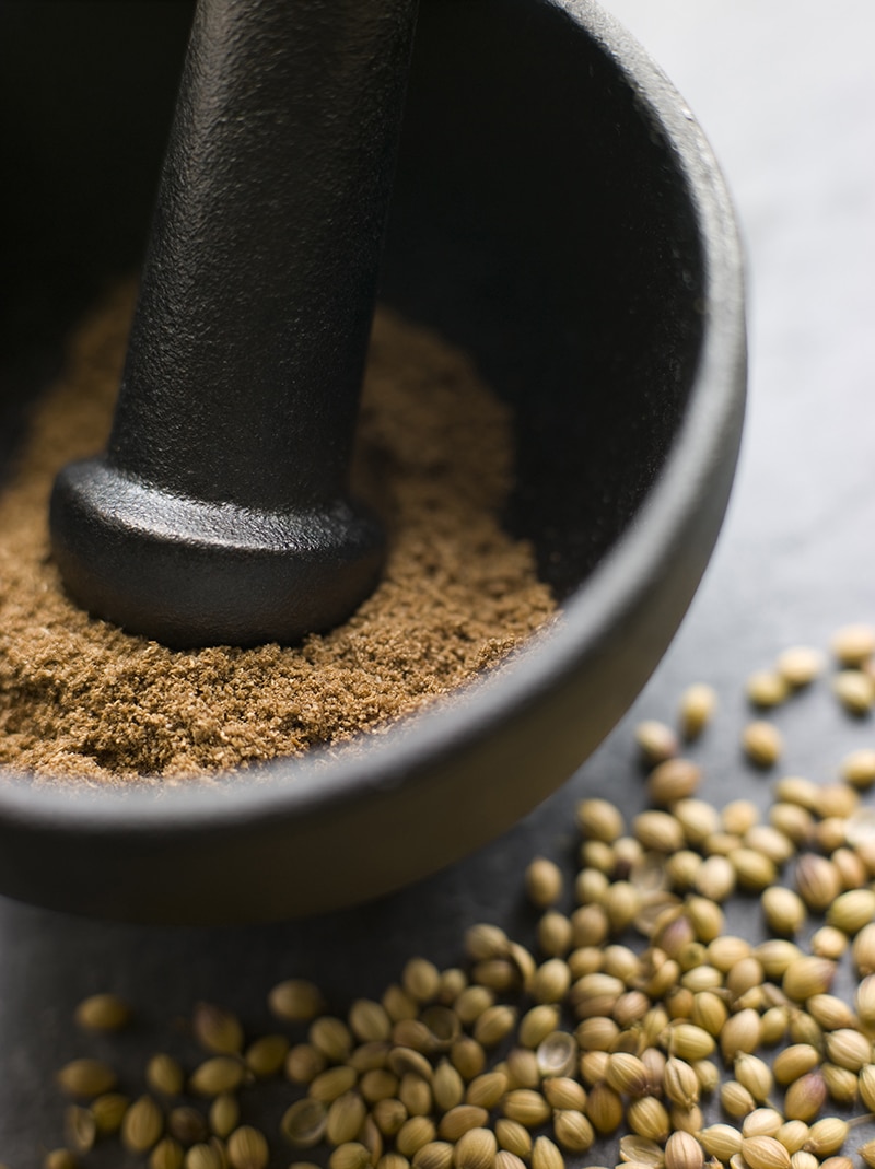 Close up of Coriander Powder in a Pestle and Mortar with Coriander Seeds