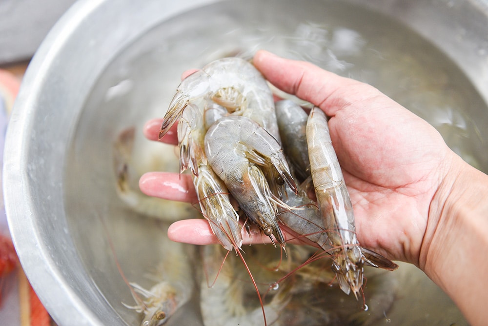 hand holding a group of shrimp with heads on