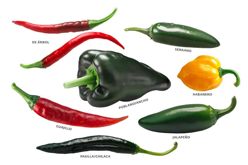 Mexican chile peppers: Arbol, Pasilla, Guajillo, Poblano, Habanero, Jalapeno