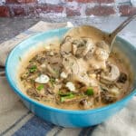 mushroom sauce with a ladle scooping into it