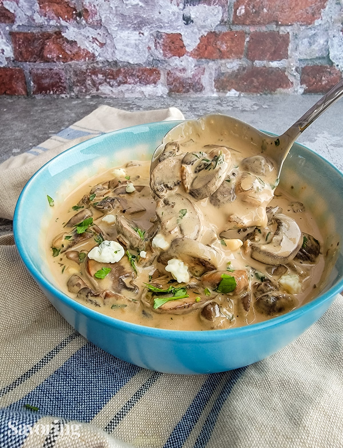 mushroom sauce with a ladle scooping into it