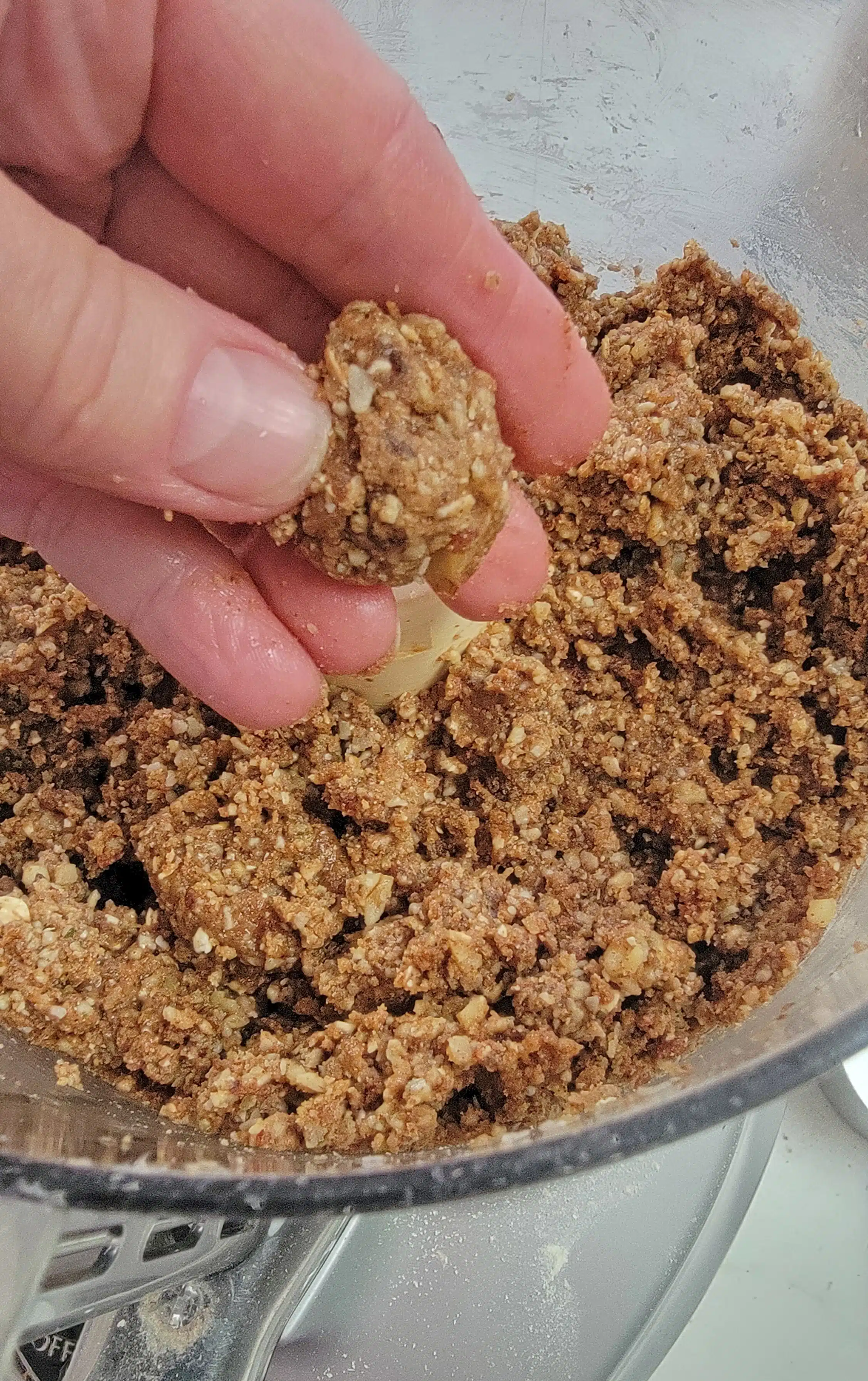 Protein bites in the food processor to show the texture.